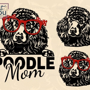 Poodle svg, arquivo svg de cachorro para cricut, mãe poodle preta, óculos de bandana de rosto clipart dxf, vetor de retrato Download transparente de raça PNG, camisa