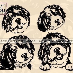 Bernedoodle hond svg-bestanden voor Cricut, schattig gezicht clipart, hoofd vector knippen, download PNG DXF, shirt Design, afdrukbare kunst doodle ras poot