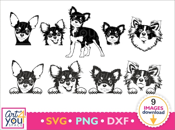 Chihuahua svg dog svg cricut cute animal face head | Etsy