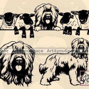 Briard Hond SVG Bestanden Voor Cricut, Grappige Herdershond Boerderij Dieren Clipart Download, Gluren schapen, Vee, Vector, Png, Dxf, Afdrukbare ART