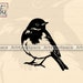 Robin Svg Files for Cricut Bird Vector Files for Laser Cnc - Etsy