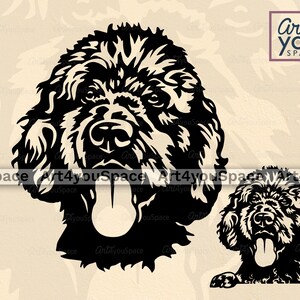 Negro Labradoodle svg, perro svg cricut, lindo clipart facial, vector de cabeza, descargar plasma PNG DXF, camisa imprimible, archivo cortado con láser raza doodle