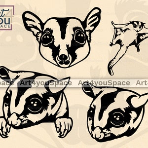 Sugar Glider svg Cricut, Rosto de Suggie, Animal da floresta, Cabeça espiando vetor Clipart Baixar camisa PNG, Plasma de corte a laser Dxf, Esquilo voador