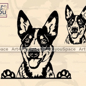 Australian Cattle Dog svg, Hunde svg Dateien für Cricut, Peeking Gesicht Clipart, Vektor Bild DXF Download, druckbare Kunst, png, Pfotenkopf Rasse
