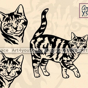 Tabby Cat Svg File For Cricut, Clipart, Cute Pet Face Png, Domestic Animal Vector Graphics, Dxf Download Printable Art, Kitten Head Peeking