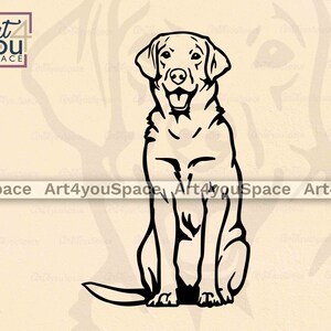 labrador retriever sitting svg