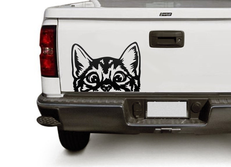 Download Funny Cat SVG files for Cricut cute peeking Pet face ...