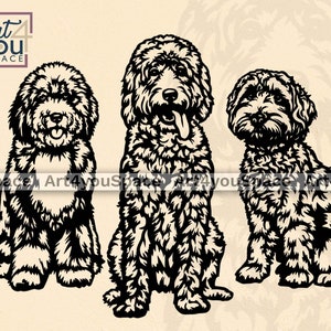 Goldendoodle SVG, Labradoodle svg, Aussiedoodle, progetti Cricut, Clipart cane seduto Png, CNC Plasma DXF, Vettore taglio laser, paletto Darden