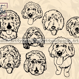 Golden Doodle Svg, Hund svg Cricut, Gesicht Clipart Kopf Körper Vektor Bild Download, PNG DXF Shirt Design, druckbare Kunst, Cut File Doodle Rasse