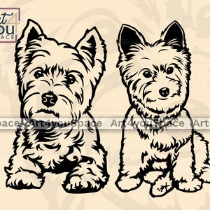 West Highland White Terrier, Hund svg Cricut, Westie Clipart, png, Rasse, Download printable Kunst, Vektor, spähendes Gesicht Kopf Pfote Körper, dxf Schnitt