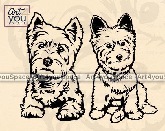 white west highland terrier