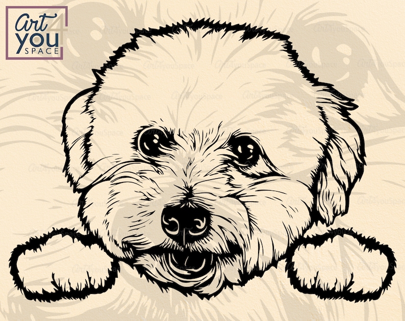 Download Bichon frise vector dog svg cricut peek a boo Head paw | Etsy