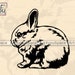 Netherland Dwarf Rabbit Svg Files for Cricut, Rabbit SVG, Bunny Clipart ...