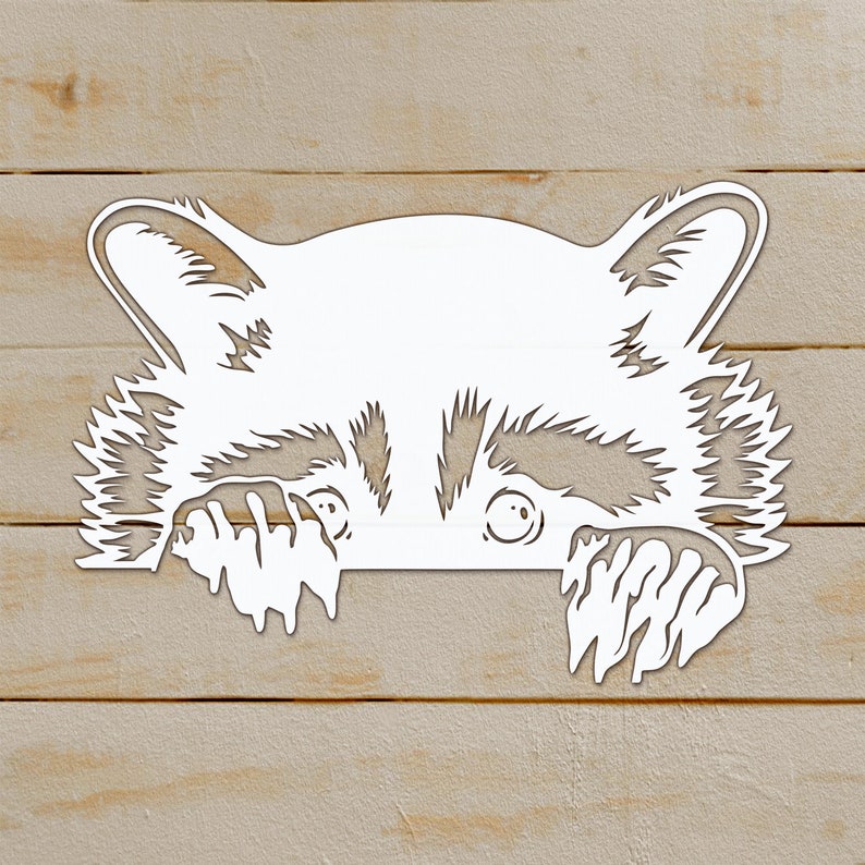 Download Peeking Raccoon SVG Silhouettes dxf funny animal SVG Files ...