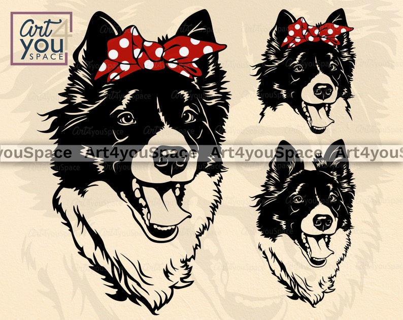 Download Border Collie bandana svg dog svg files for Cricut funny ...