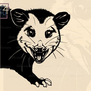 spähen Opossum SVG, Opossum dxf, Cricut, Waldtier Clipart, wildes Waldtier Clipart, wildes Opossum, Gesicht, lustiger Png, Vektor Download C7 300 Datei