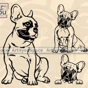 Französische Bulldogge SVG, Hund Dateien für Cricut Download, Frenchie Clipart, PNG, Rasse DXF, Vektor-Grafiken, Spähen Gesicht Kopf Pfoten, Sit