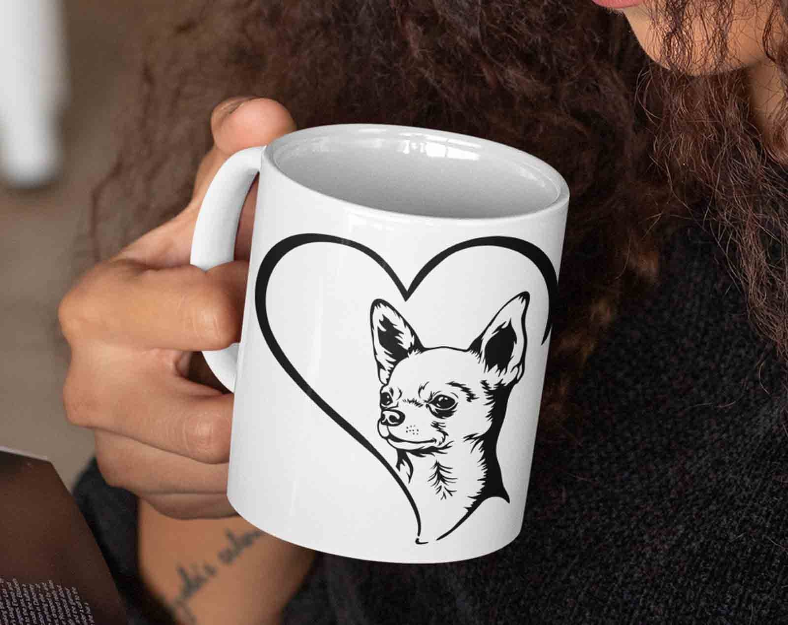 Chihuahua And Pomchi Puppies For Sale Near Me, image size:1600x1269