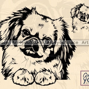Pekingese svg dog svg file for Cricut, peeking puppy face clipart, Download, design, Vector image, dxf, png, printable art, breed shirt svg