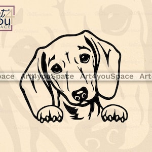 Doxie png Clipart