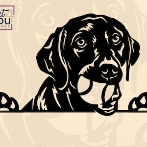 Labrador SVG, Labrador noir, Cricut Project, chien jouant avec un ballon PNG, clipart vectoriel sport drôle à télécharger, dxf, conception de t-shirt