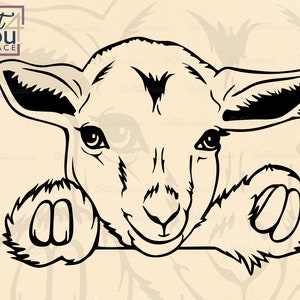 Pygmy Goat, Baby Goat Svg Files Cricut, Cute Farm Animal Clipart, Christmas Vector, Peeking Download, Head Santa Hat, Face, Art Png, Dxf