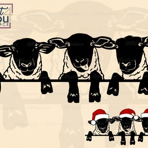 Sheep svg, Funny Lamb svg, Cricut, Flock of suffolk sheep, Farm Animal Peeking, Christmas Ewe Png clipart Download, Vector Dxf logo design