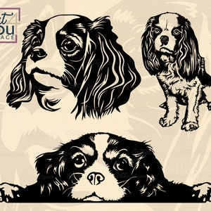 Cavalier king charles spaniel SVG, Archivos svg de perro para cricut, Raza, Cara linda cabeza Clipart, descargar, Imagen vectorial de retrato, Mascota, png, dxf