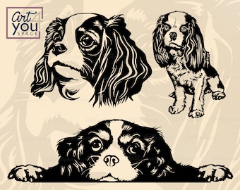 Cavalier king charles spaniel SVG, Dog svg files for cricut, Breed, Cute face head Clipart, download, Portrait vector image, Pet, png, dxf