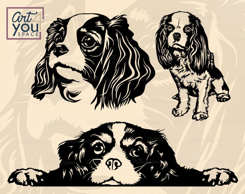 Download Cavalier king charles spaniel SVG Dog svg files for cricut ...