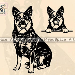 Bouvier australien Svg : vecteur de découpe laser en métal, fichier Cricut Australian Blue Heeler