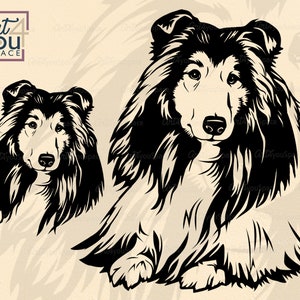 Op de afbeelding: Zwart-witte silhouet-illustratie van twee Collie-honden. Eén hond zit met zijn hoofd naar de zijkant gedraaid, terwijl de andere hond ligt met zijn hoofd op zijn poten.