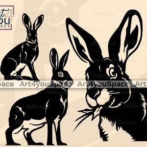 Fichiers SVG Cricut, lièvre, lapin, clipart woodland, vecteur animal furtivement, peek a boo PNG, téléchargement Eps dxf, art imprimable Zoo, conception de t-shirt