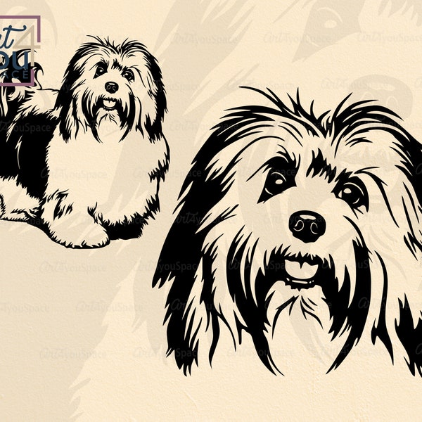 Havaneser Hund SVG, süße Hunde Gesicht Clipart, Cricut, süße Hunde Gesicht Clipart, Tasche Design, Dxf PNG Download, Kunst Rasse Vektor, Hundeliebhaber