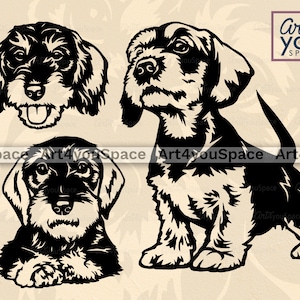 Drahthaar Dackel Hund Cricut Projekt, Doxie, spähendes Gesicht Vektor Clipart, png Kopf Download, dxf, printable Kunst, Rasse, Welpe Körper