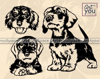 Wirehaired Dachshund svg dog Cricut project, Doxie Peeking face Vector Clipart, png head Download, dxf, Printable art, breed, puppy body