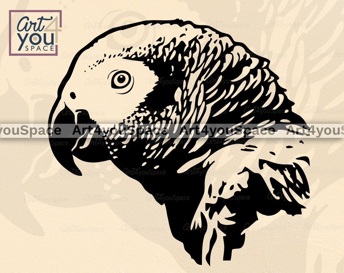 African Grey Parrot parrot svg bird svg Clipart download Etsy