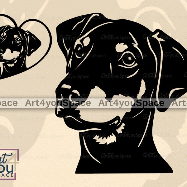 Doberman svg, Dog SVG Files for Cricut, Doberman Pinscher floppy ears clipart, Download face, Printable art png, dxf laser cut vector Plasma