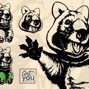quokka Svg cricut, Cute Australian animal, marsupial, Peeking Funny vector, face head clipart, download png, dxf, printable art, shirt svg