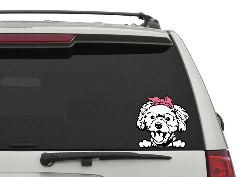 Download Maltipoo dog svg Cricut Cute puppy clipart download png | Etsy