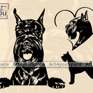 SVG-reuzenschnauzer hond svg-bestanden voor Cricut, clipart, dxf plasma CNC, lasergesneden vector, afdrukbare kunst PNG-download, gluren gezicht hoofdras