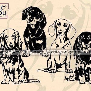 May include: Black and white silhouette illustration of four dachshund dogs. The dogs are in various poses, including sitting, standing, and lying down. The illustration is a simple, clean design that would be perfect for a variety of uses, such as a t-shirt design, a sticker, or a wall art print.