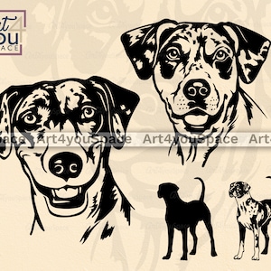 Catahoula Dog svg files for Cricut, face head, Catahoula Leopard dog clipart download, png, vector, printable art, hunting breed dxf, body