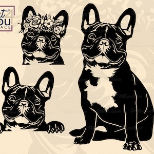 Französische Bulldogge SVG, Frenchie mit Blumen Clipart, Hund geschnitten Datei, Cricut Download, png, Breed DXF Laser geschnitten Vektor-Grafik, spähendes Gesicht Kopf Pfote