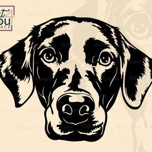 Labrador svg, dog svg cricut, black Labrador retriever Face clipart, Head, download vector, png, dxf, printable, cut file, cameo silhouette