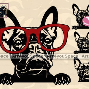 Bulldog Francês SVG, cachorro svg Cricut, espreitando óculos engraçados de Frenchie, clipart, download, chiclete de rosto de animal de estimação png, raça, vetor, dxf, imprimível