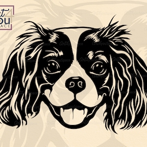 Cavalier King Charles Spaniel SVG, Hund svg-Dateien für Cricut, Rasse, lustiges Gesicht Kopf Clipart, download, Laser geschnitten Vektor, Haustier png,Plasma dxf