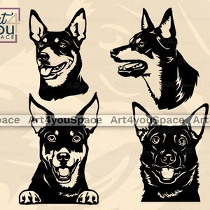 Australische Kelpie-hond svg-bestanden voor Cricut, gezicht clipart, vector stencil, DXF lasergesneden plasma, download, afdrukbare kunst png, hoofd poten ras