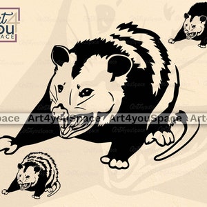 gambá svg, gambá gritando Clipart, animal da floresta, natureza selvagem, vetor de gambá da Virgínia, Download, camisa svg, projeto Cricut, PNG, Dxf