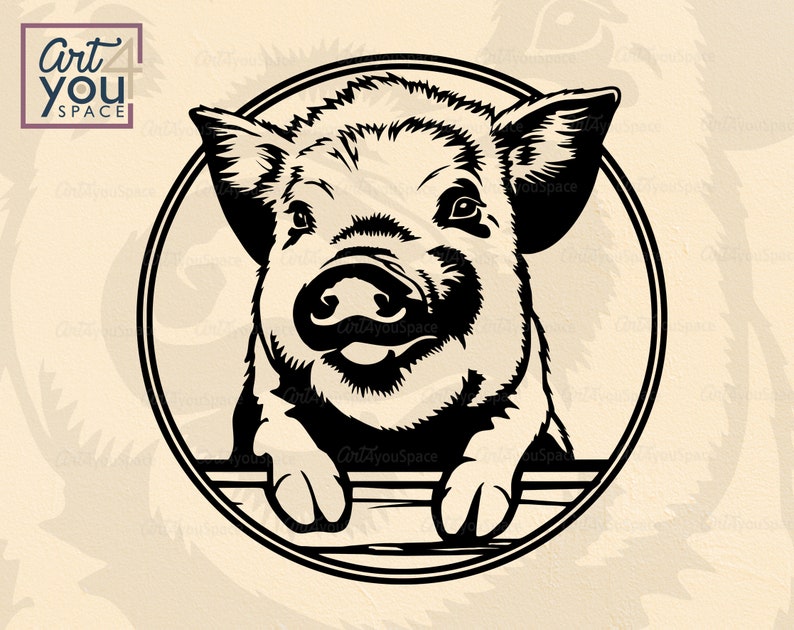 Download Kune kune pig Svg files for cricut farm animal clipart ...